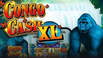 콩고 캐쉬 XL