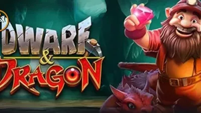 드워프 & 드래곤